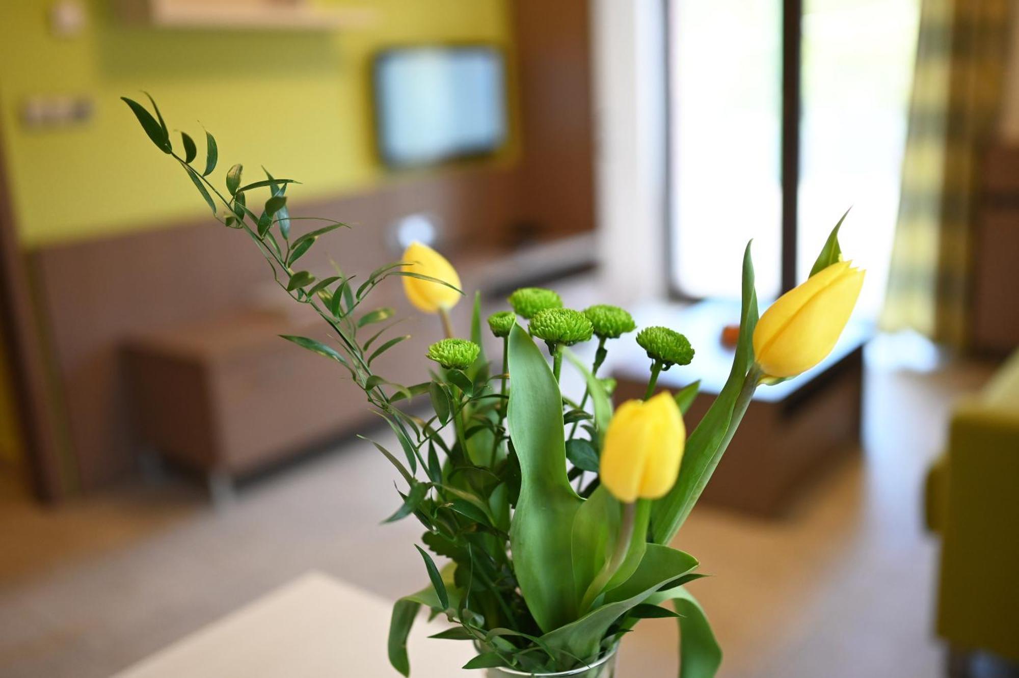 Hotel Jirinka Dolní Morava Kültér fotó